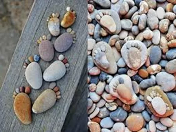 OLII